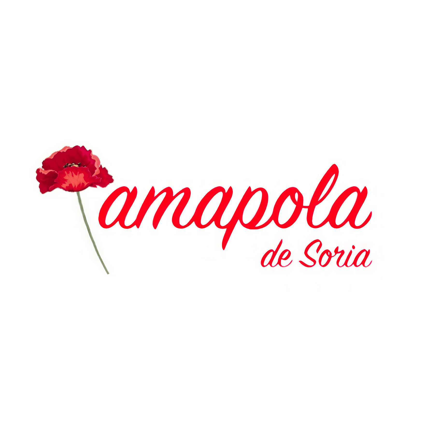logo de empresa local de san esteban de gormaz